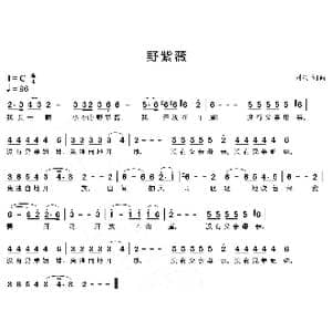 野紫薇_歌曲简谱_词曲:刘硕 刘硕