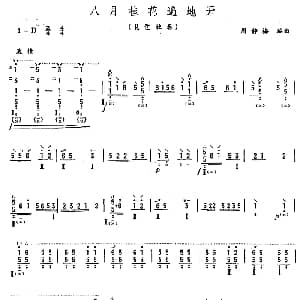琵琶谱 | 八月桂花遍地开 周静梅编曲版 周静梅编曲