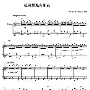 社员都是向阳花 钢琴谱