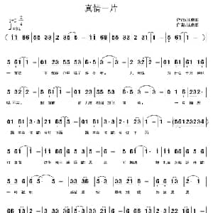 真情一片_通俗唱法乐谱_词曲:江南雨 江南雨