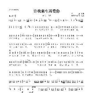 许我来生再爱你_歌曲简谱_词曲:王浩 王浩
