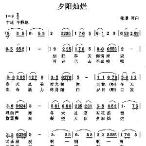 夕阳灿烂_歌曲简谱_词曲:张璟 张璟