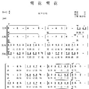 雪花 雪花_合唱歌谱_词曲:瞿琮 陈光曲 于娜编合唱