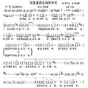 泪蛋蛋掉进酒杯杯里_歌谱投稿