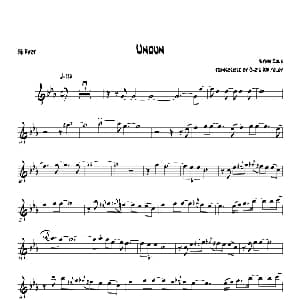 萨克斯谱 | Undun Bb Rart