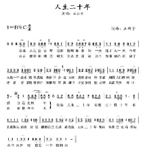 人生二十年_通俗唱法乐谱_词曲:王新宇 王新宇