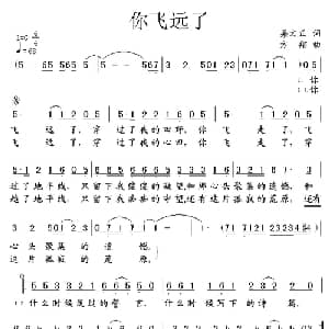 你飞远了_通俗唱法乐谱_词曲:梁文正 方翔