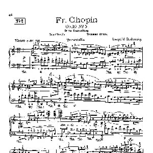 53首以肖邦练习曲为素材而作的练习曲 钢琴谱 里奥鲍尔德 戈多夫斯基