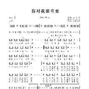 你对我很重要_歌曲简谱_词曲:王艺文 王艺文