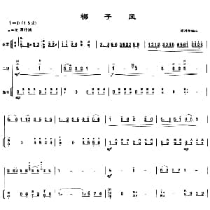 二胡谱 | 梆子风 扬琴伴奏谱