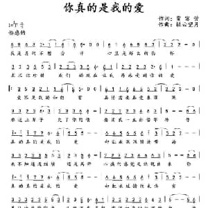 ​你真的是我的爱_通俗唱法乐谱_词曲:贾富营 轻云望月