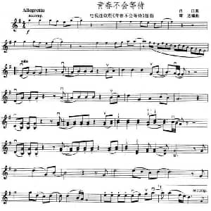 小提琴谱 | 青春不会等待 同名电视剧插曲 肖白