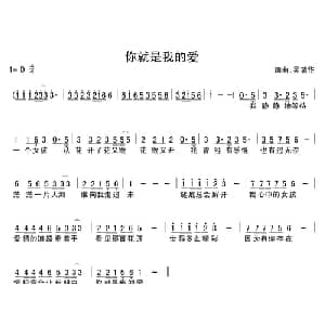 你就是我的爱_通俗唱法乐谱_词曲:吴清华 吴清华