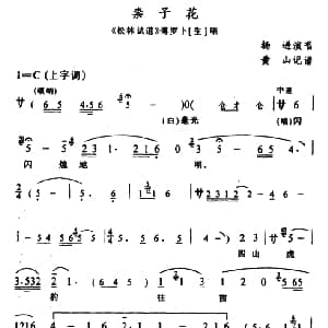 辰河戏 柰子花 松林试道 傅罗卜唱段 杨进 黄山记谱