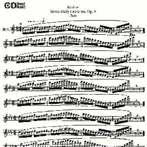 长笛曲谱 | Seven Daily Exercises, Op.5 每日练习七首 作品5号 Reichert 瑞澈特