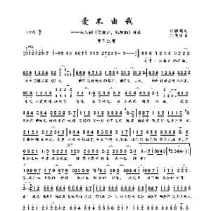 爱不由我_歌曲简谱_词曲:张鹏鹏 郑国锋