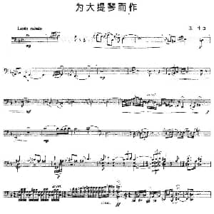 为大提琴而作 王术