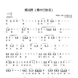 观鸿雁_民歌简谱_词曲:梅花庄,枫叶,BUSICAN BUSICAN