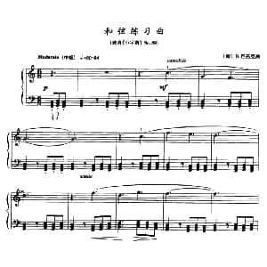 和弦练习曲 钢琴谱 匈 B 巴托克