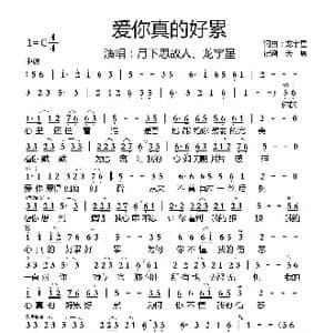 爱你真的好累_歌曲简谱_词曲:龙宇星 龙宇星