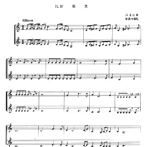 回娘家 小号二重奏 河北民歌 张新林