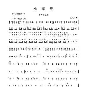 小苹果_歌谱投稿_词曲:王太利曲 王太利曲