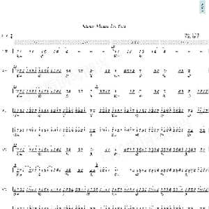 River Flows In You 你的心河_歌曲简谱_词曲: 李润铭