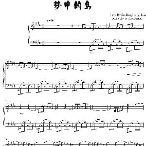 梦中的鸟 钢琴谱