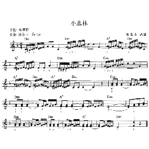 电子琴谱 | 小丛林 陈家友改编