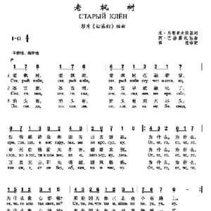 老枫树Старый клён_歌曲简谱_词曲:米•马都索夫斯基 阿•巴赫慕托娃