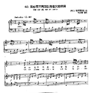丁小琴编 60我心里不再感到青春火焰燃烧_外国歌谱_词曲: 意 G 柏伊西埃洛