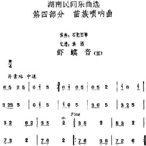 虾蟆音 五 湖南民间乐曲选 洪滔记谱