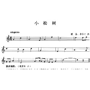 小松树 小号 傅晶 李伟才