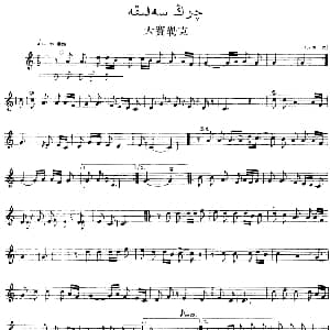 Ⅵ 乌扎勒木卡姆 298 308 主旋律谱 十二木卡姆