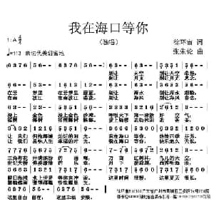 我在海口等你_通俗唱法乐谱_词曲:徐环宙 张朱论