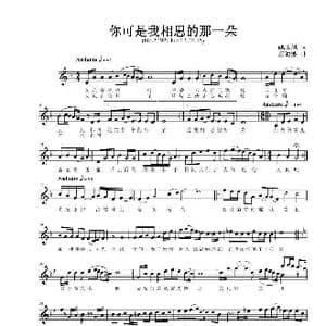 你可是我相思的那一朵_歌曲简谱_词曲:姚玉凤 项海波