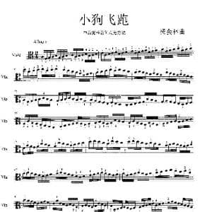 小狗飞跑_歌谱投稿_词曲: 杨会林作曲