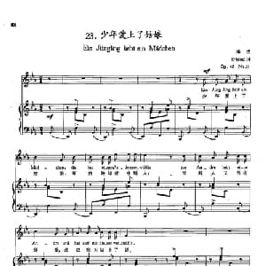 23少年爱上了姑娘 德国 _外国歌谱_词曲:海涅 舒曼