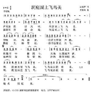 洞庭湖上飞鸟美_民歌简谱_词曲:汪晓罗 党继志