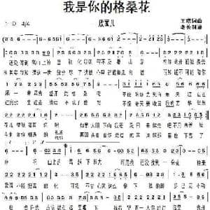 我是你的格桑花_歌谱投稿_词曲:王琪 王琪