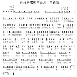 你就是那飘落在风中的玫瑰_通俗唱法乐谱_词曲:马东川 姜振