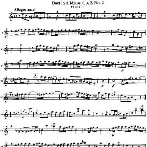 长笛曲谱 | 匡茨G大调长笛二重奏Op.2 Flute 1 No.2 Quantz 匡茨