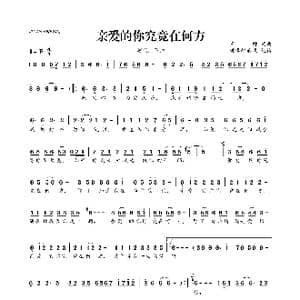 亲爱的你究竟在何方_歌曲简谱_词曲:​王帅 ​王帅