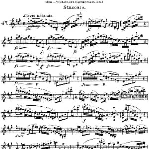 小提琴谱 | 马扎斯小提琴练习曲 Op.36 第二册 华丽练习曲 47