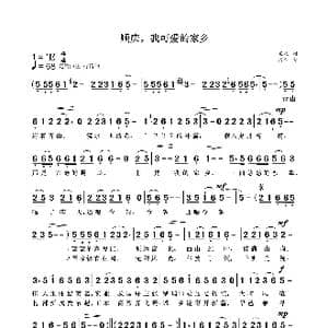 顺庆,我可爱的家乡_歌曲简谱_词曲:袁龙 袁龙