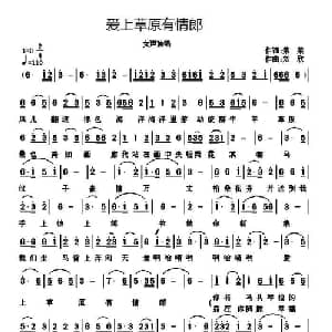 爱上草原有情郎_通俗唱法乐谱_词曲:荣荣 刘欣