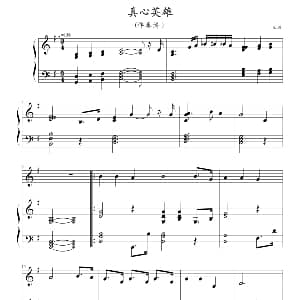 真心英雄 钢琴谱 王谦