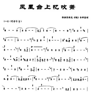 凤凰台上忆吹箫 洞箫