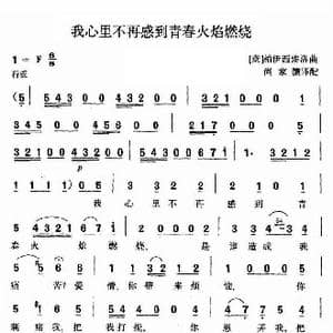 我心里不再感到青春火焰燃烧_歌谱投稿