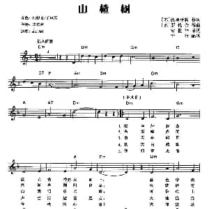 电子琴谱 | 山楂树 弹唱谱